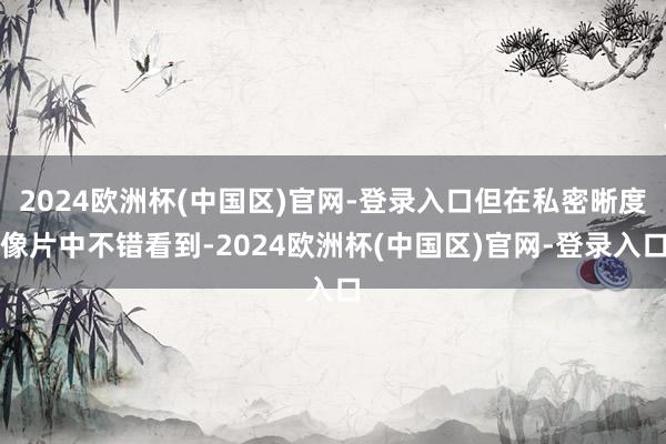 2024欧洲杯(中国区)官网-登录入口但在私密晰度像片中不错看到-2024欧洲杯(中国区)官网-登录入口
