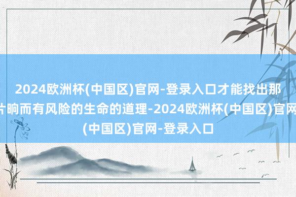 2024欧洲杯(中国区)官网-登录入口才能找出那实质上是片晌而有风险的生命的道理-2024欧洲杯(中国区)官网-登录入口